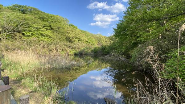 舞岡公園