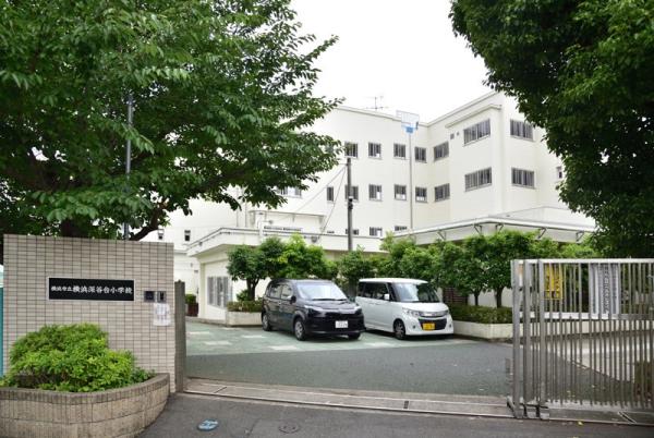 横浜深谷台小学校