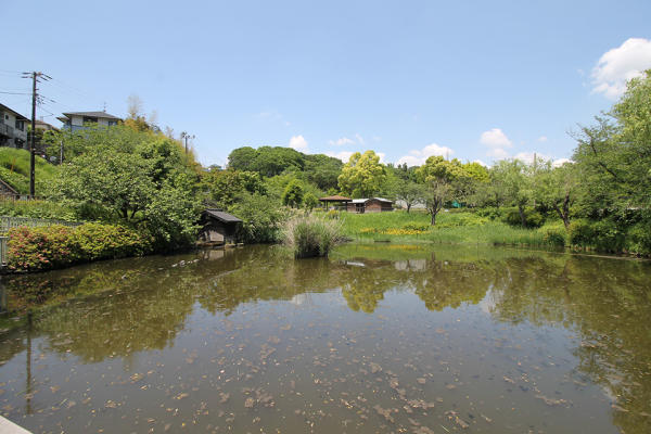 谷矢部池公園